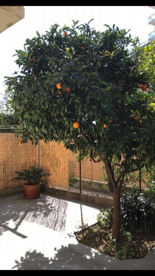 Bilocale con giardino terrazzato comodo al mare Varazze Esterno foto